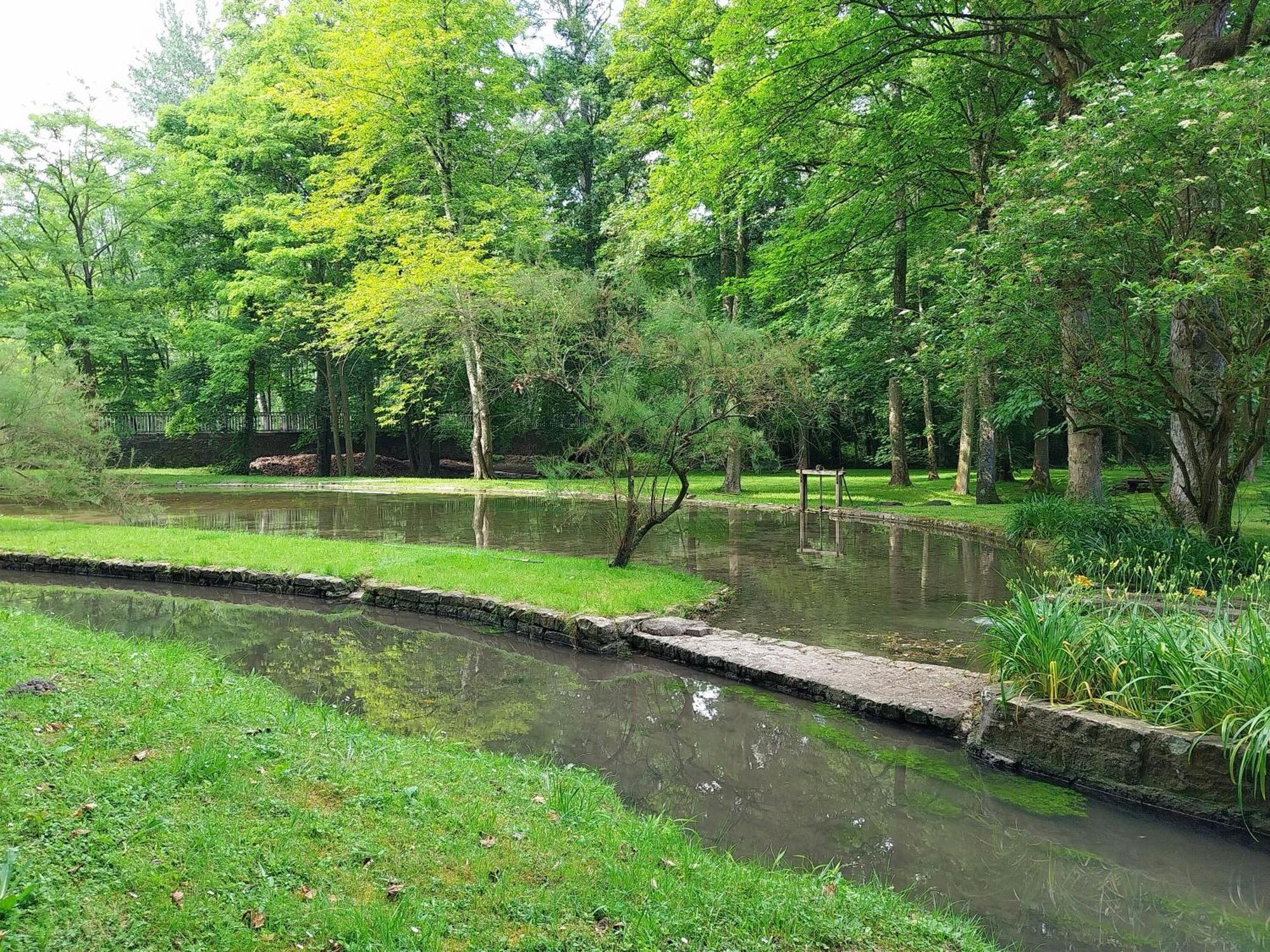 Appartement Gite Du Moulin Du Ponceau à Rubelles Extérieur photo